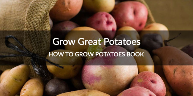Grow Great Potatoes